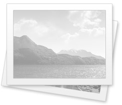 Постер к Маша и Медведь (5 сезон)