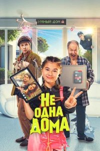 Постер к Не одна дома